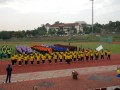 Tn DSC 7451